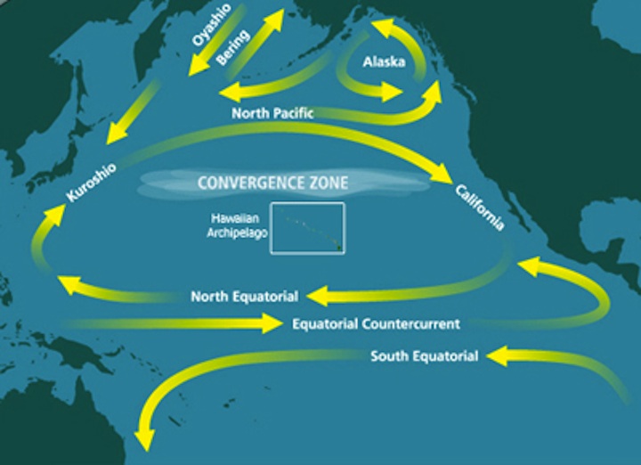 Marine Debris Poster (4) AI9