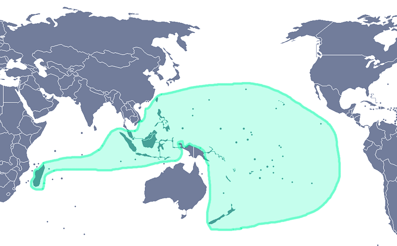 extent-of-austronesian-migrations2.jpg