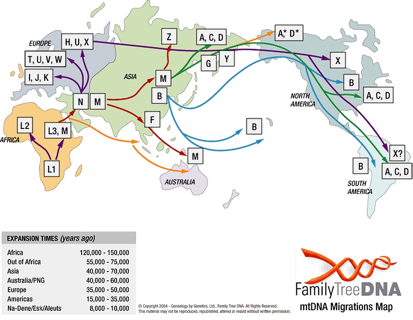 Mitochondrial DNA haplogroups migration map